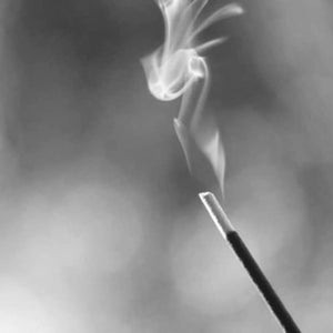 MODM Natural Incense - Still